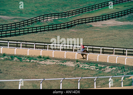 La formazione di un cavallo da corsa su una pista di un allevamento di cavalli vicino a Ocala, Florida USA Foto Stock