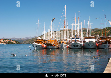 Una fila di bella crociera in legno, barca a vela e barche da pesca di navi Barche dipinte di bianco ormeggiate lungo che la chiave nel porto. Luka porto di Gruz. Dubrovnik, città nuova. Costa della Dalmazia, Croazia, Europa. Foto Stock