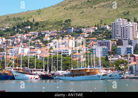 Più belle di crociera in legno, barca a vela e barche da pesca di navi Barche dipinte di bianco ormeggiate lungo che la chiave nel porto. Edifici moderni slitta verso la collina. Luka porto di Gruz. Dubrovnik, città nuova. Costa della Dalmazia, Croazia, Europa. Foto Stock