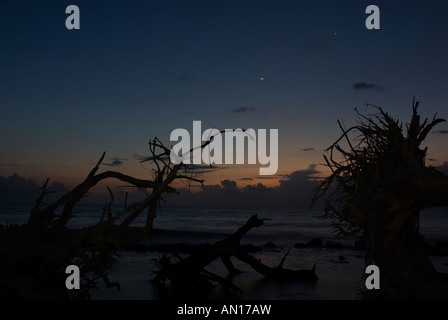 La mattina presto tramonto sull'acqua con una falce di luna e Venere nel cielo Foto Stock