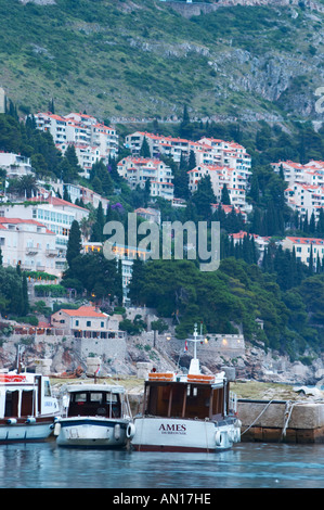 Turistiche e noleggio barche ormeggiate nel porto vecchio contro uno sfondo di case sul lato della collina in sera la luce blu Dubrovnik, città vecchia. Costa della Dalmazia, Croazia, Europa. Foto Stock