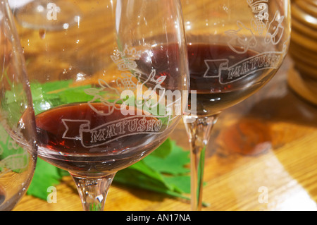 Bicchieri di vino con il blasonato decorazione della corona grappolo di uva due asino dei capi e il nome del magazzino. Matusko cantina. Villaggio Potmje, Dingac regione vinicola, penisola di Peljesac. Matusko cantina. Dingac paese e regione. Peninsola Di Peljesac. Costa della Dalmazia, Croazia, Europa. Foto Stock