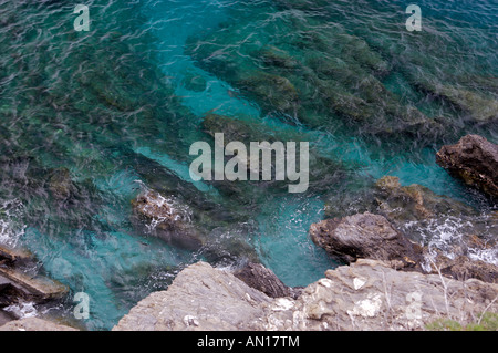 Costa e spiaggia di Monterosso, Parco Nazionale delle Cinque Terre, il Parco Nazionale delle Cinque Terre Liguria, Foto Stock