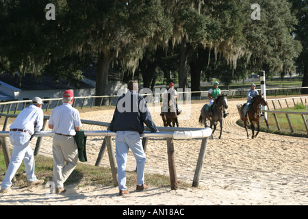 Ocala Florida, Racehorse Stud, stalla dedicata alla formazione di cavalli purosangue, animali domestici, equini, i visitatori di viaggio tour a. Foto Stock