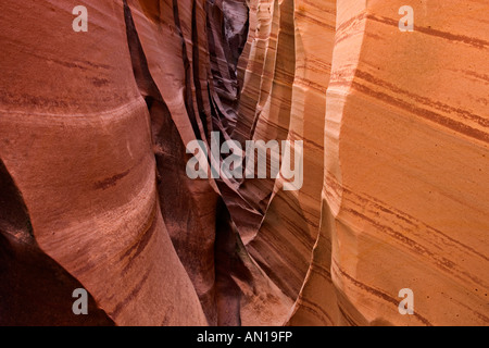 Zebra Slot Canyon Dettaglio foro della roccia regione stradale Scalone Escalante National Monument Utah Foto Stock