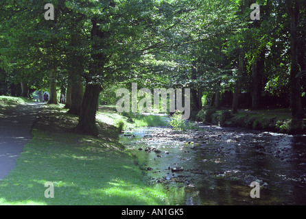 Fiume Sid, Sidmouth Foto Stock