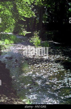 Fiume Sid, Sidmouth Foto Stock