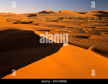 Rote Duenen im Sossusvlei Namib Naukluft Park Namibia Afrika dune rosse di Sossusvlei Namib Naukluft Park Namibia Africa Foto Stock