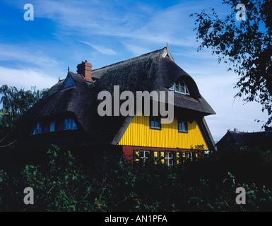 Darss tradizionale casa di Wieck Darss Mecklenburg Vorpommern Mar Baltico Germania Europa. Foto di Willy Matheisl Foto Stock