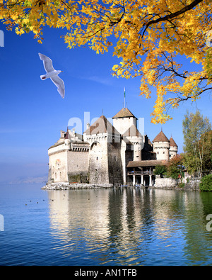 CH - Vaud: Chateau de Chillon sul lago di Ginevra Foto Stock