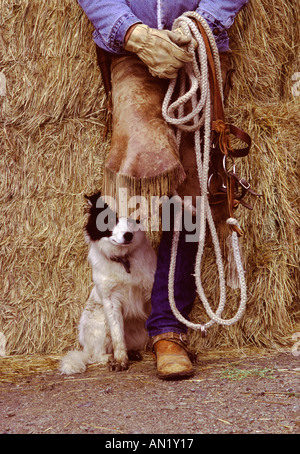Cowboy appoggiato su di balle di fieno con una gamba in alto con il cane di nome cactus dietro di lui Foto Stock