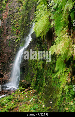 Nord Schwarzwald Bad Rippoldsau Burgbachwasserfall Deutschland Germania Foto Stock