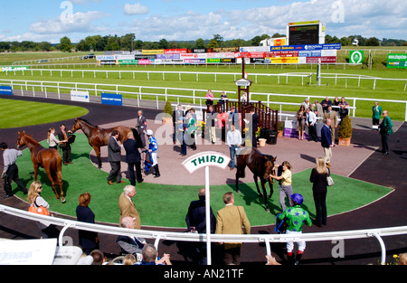 Enclosure di vincitori a Chepstow Racecourse Monmouthshire South Wales UK Foto Stock