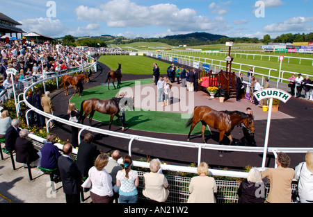 Enclosure di vincitori a Chepstow Racecourse Monmouthshire South Wales UK Foto Stock