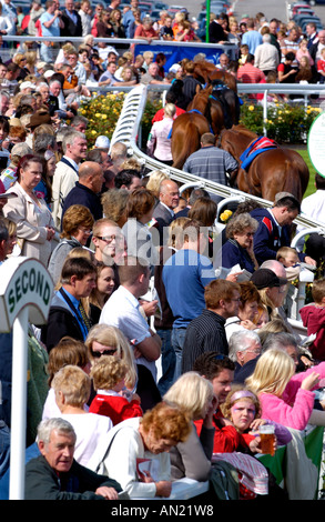 Parade Ring con fantini proprietari e dei formatori a Chepstow Racecourse Monmouthshire South Wales UK Foto Stock