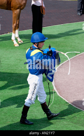 Enclosure di vincitori a Chepstow Racecourse Monmouthshire South Wales UK Foto Stock