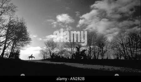 Cavallo e cavaliere in chilterns, Buckinghamshire, Inghilterra Foto Stock