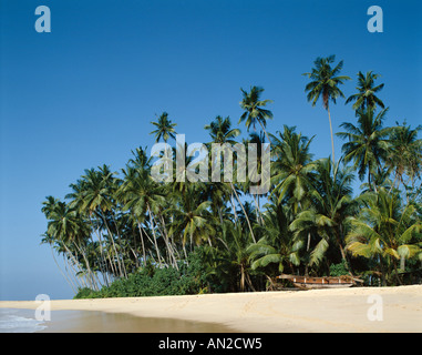 Hikkaduwa Spiaggia / mare / sabbia / Palme, Hikkaduwa, Sri Lanka Foto Stock