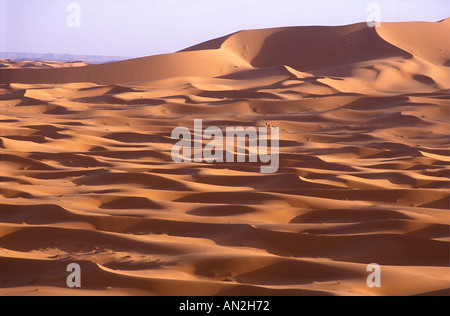 Le dune di sabbia di Erg Chebbi vicino a Merzouga con distante camel train a sud di Erfoud Marocco Foto Stock