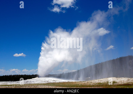 Geyser Old Faithful in eruzione il Parco Nazionale di Yellowstone Wyoming USA Foto Stock