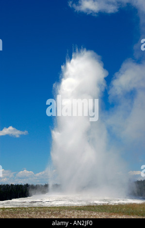 Geyser Old Faithful in eruzione il Parco Nazionale di Yellowstone Wyoming USA Foto Stock