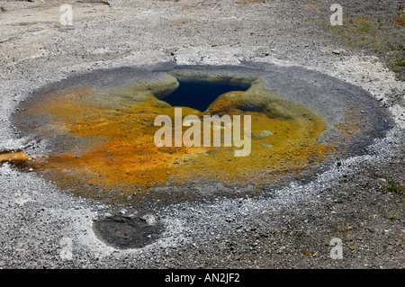 Geyser geotermica acqua di primavera il parco nazionale di Yellowstone Wyoming usa Foto Stock