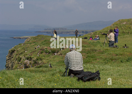 Fotografare i puffini Fratercula arctica sull isola di lunga Treshnish Isles Scozia Giugno 2006 Foto Stock