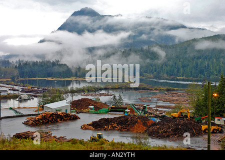 Cantieri di legno a Telegraph Cove Isola di Vancouver, British Columbia. In Canada. Ciechi 0229. Foto Stock