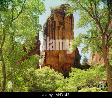 Zion National Park nello Utah Stati Uniti d'America Foto Stock