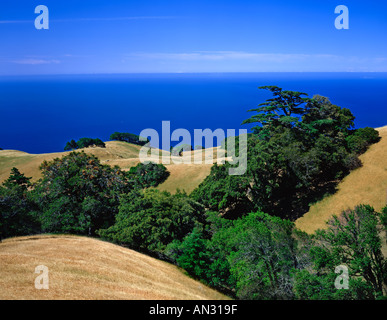 Strada tortuosa sul Monte Tamalpais a Marin County in California USA Foto Stock