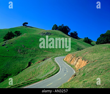 Strada tortuosa sul Monte Tamalpais a Marin County in California USA Foto Stock