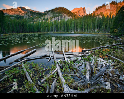 Sunrise scenic riflessione di picco Hallett dalla ninfa Lago Rocky Mountains National Park in Colorado Foto Stock