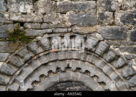 Scolpite le teste di pietra intorno al portale romanico in Dysert O dea Chiesa County Clare Irlanda Foto Stock