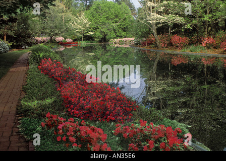 Tranquillo: Un percorso in mattoni accanto a un laghetto con azalee primaverili in fiore e alberi riflessi in acqua al Maclay state Gardens a Tallahassee, Florida USA Foto Stock