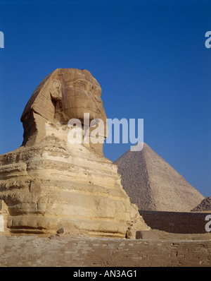 Grande Sfinge e piramidi di Giza in Egitto Foto Stock