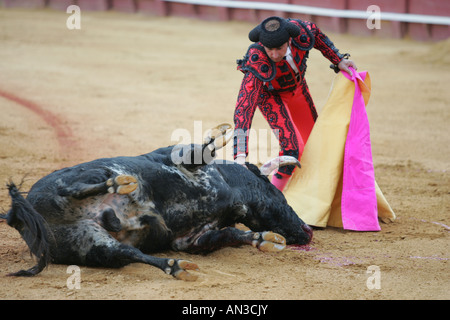 Torero Assistente amministrazione il colpo di grazia a un toro. Foto Stock