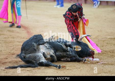 Torero Assistente amministrazione il colpo di grazia a un toro. Foto Stock