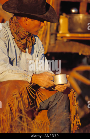 Signor cowboy di bere il caffè presso il camp nel deserto Owyhee Foto Stock