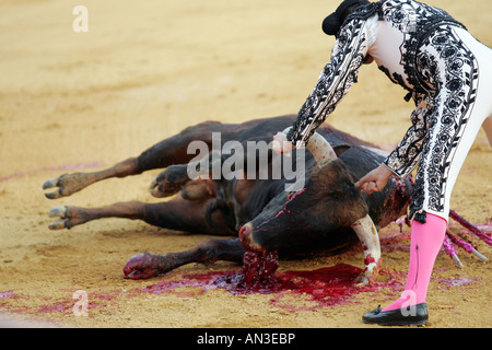 Torero Assistente amministrazione il colpo di grazia a un toro. Foto Stock