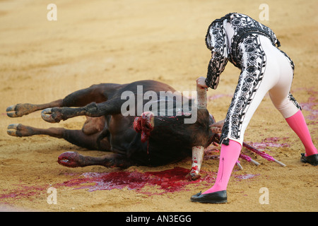 Torero Assistente amministrazione il colpo di grazia a un toro. Foto Stock