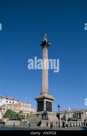 Trafalgar Square / Nelson's Colonna, Londra, Inghilterra Foto Stock