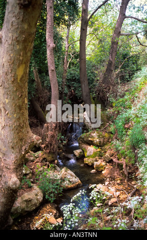 Israele, un flusso di Wadi Amud (pilastro Canyon), la Galilea lungo il Trail Israele Nazionale Foto Stock