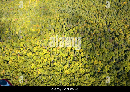 Vista aerea di un misto di latifoglie e segherie di foresta nel nord di New Brunswick Canada vicino a Dalhousie a inizio autunno Foto Stock