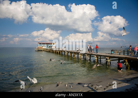 Asta e la pesca con il mulinello pier sul Golfo del Messico su Anna Maria Island Florida Foto Stock