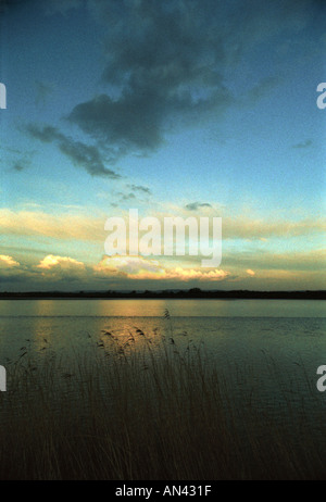 Guardando attraverso il fiume Severn nel Gloucestershire dalla banca del Nord a Sud Foto Stock