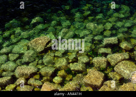 Scogliere sommerse off Lands End, Cornwall, Inghilterra. Foto Stock