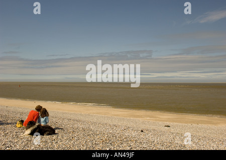 Giovane guarnizione guardando nella baia della Somme Francia Foto Stock