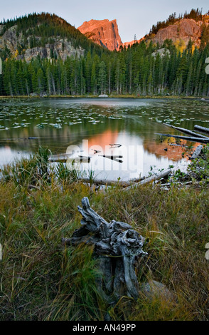 Sunrise scenic riflessione di picco Hallett dalla ninfa Lago Rocky Mtn Nat l parco CO Foto Stock