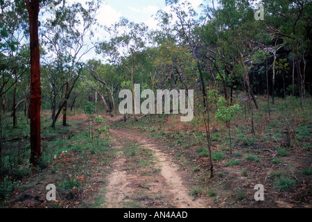 Novembre 1995 Darwin Territorio del Nord Australia Manyalaluk la comunità aborigena Foto Stock