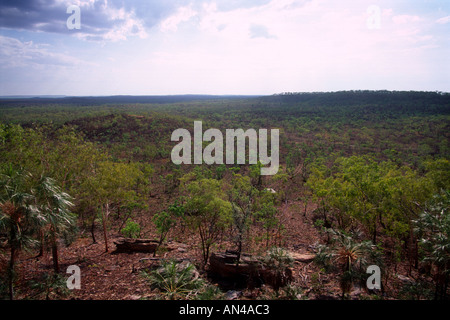 Novembre 1995 Darwin Territorio del Nord Australia Manyalaluk la comunità aborigena Foto Stock